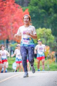 BIB: 8264
                            <button type="button" onclick="openModal(19240259)" class="btn btn-primary btn-sm float-right btn-popup" data-toggle="modal" data-target=".modal-high-quality">
                        <i class="fas fa-shopping-cart"></i> Add to Cart
                    </button>
                                            <button type="button" onclick="isThisMe(19240259, true)" class="btn btn-success btn-sm float-right btn-popup btn-isme hidden" data-toggle="tooltip" data-placement="bottom" title="นี่คือรูปของคุณใช่ไหม คลิกที่นี่เพื่อเอาเข้าอัลบั้ม">
                        <i class="fas fa-plus"></i> Add to album
                    </button>
                    <button type="button" onclick="isThisMe(19240259, false)" class="btn btn-warning btn-sm float-right btn-popup btn-isnotme hidden">
                        <i class="fas fa-ban"></i> Remove from album
                    </button>